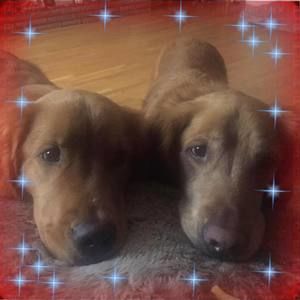 Meet your Posher, Akiko